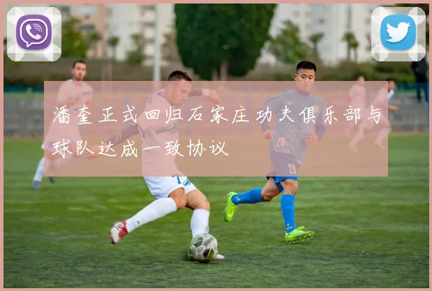 潘奎正式回归石家庄功夫俱乐部与球队达成一致协议